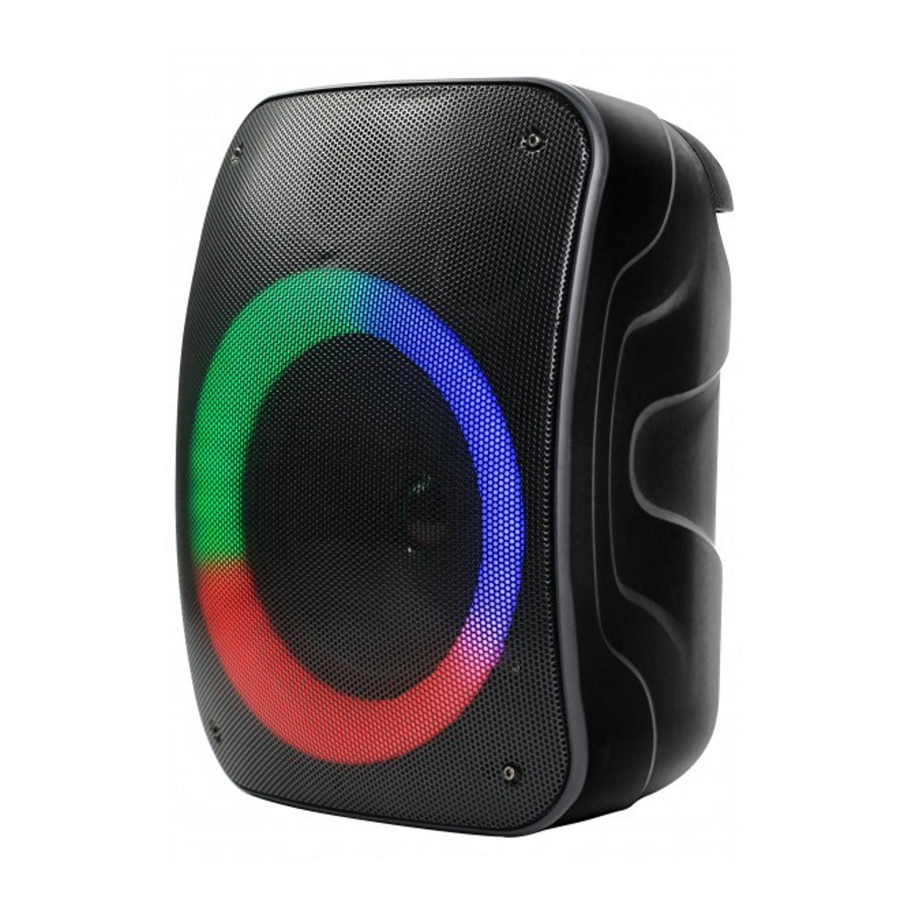 Rebeltec Bluetooth högtalare STAGE 300 svart