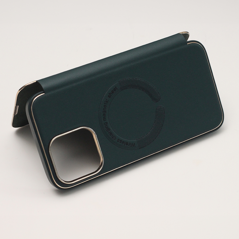 Etui Smart Gold Frame Mag do iPhone 11 czarny